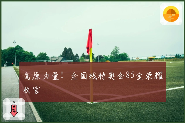 高原力量！全国残特奥会85金荣耀收官