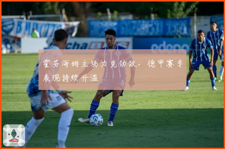 霍芬海姆主场力克劲敌，德甲赛季表现持续升温