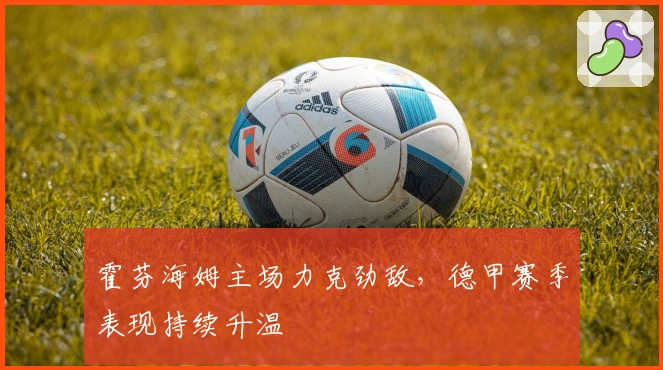 霍芬海姆主场力克劲敌，德甲赛季表现持续升温